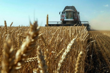 Обновление технического регламента на зерно