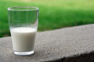 Проводится тестирование пастеризованного молока